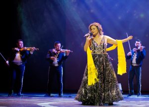 Ana Casillas Boletín